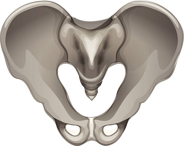 Pelvic Floor Dysfunctions​ in Vancouver